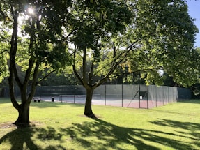 A bright and sunny view of a tennis court surrounded by a wire fence, nestled between lush green trees. Sunlight filters through the leaves, casting intricate shadows on the grass. A bench is situated near the court, offering a relaxing spot to sit.