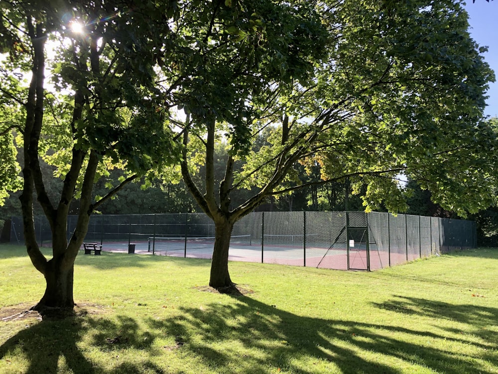 a tennis court surrounded by trees on a sunny day