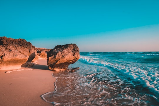 brown rock formation on sea shore during daytime in Kish Iran