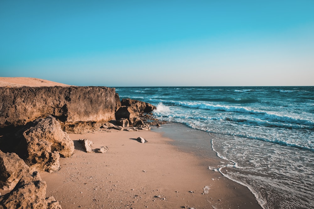 brown rocky shore near body of water during daytime