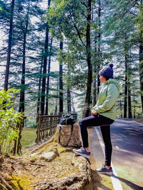 A traveler standing on a scenic viewpoint in Manali, admiring the lush green valley