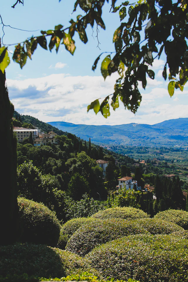 A hill town's rooftops and bell tower seen through overhanging leaves and rounded garden hedges, Tuscan hills beyond.
