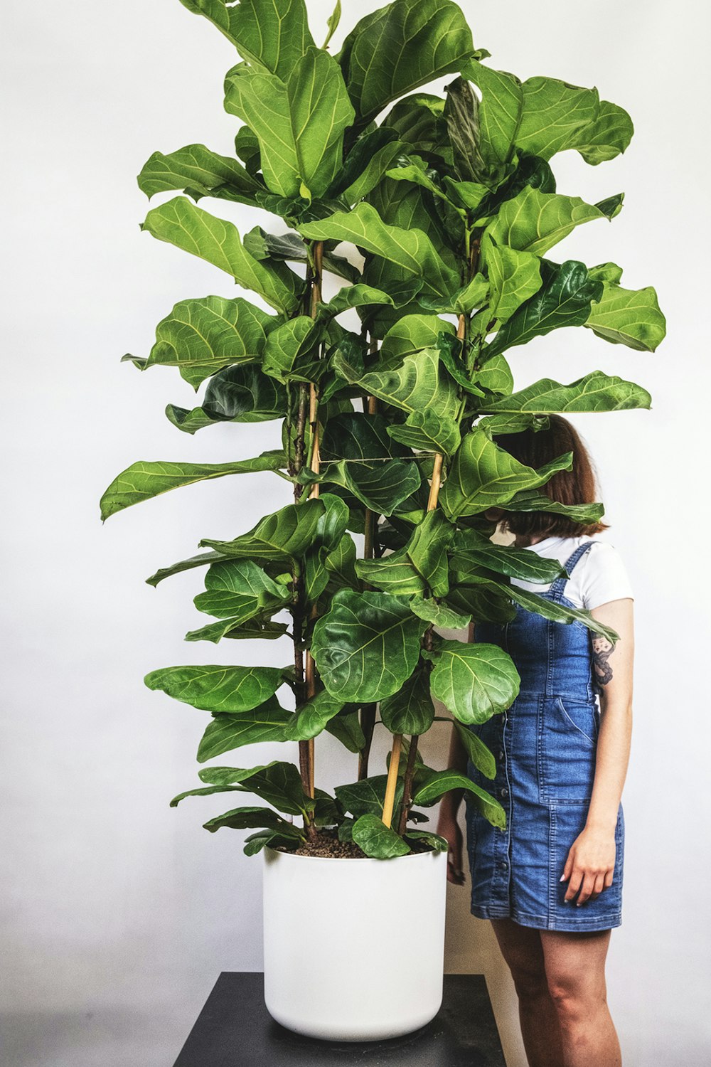 une femme debout à côté d’une grande plante en pot
