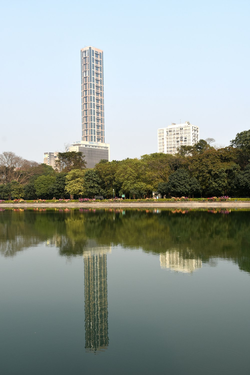 日中の樹木や建物の近くの水域