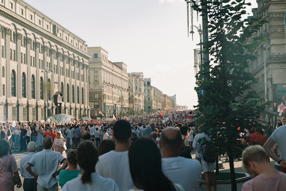 people walking on street during daytime