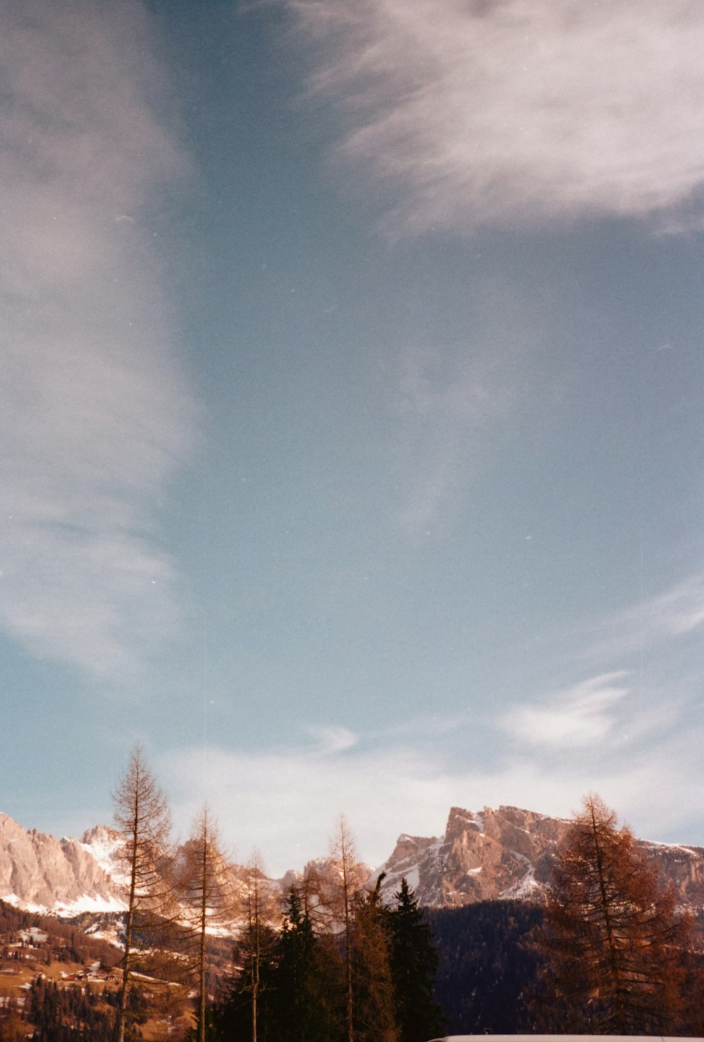 brown trees on brown mountain under blue sky during daytime