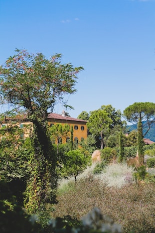 A picturesque landscape featuring a yellow villa partially hidden by lush, green foliage and trees. The villa has a red-tiled roof and is surrounded by a variety of vegetation, including tall cypress trees and climbing ivy. In the background, green hills are visible under a clear blue sky, enhancing the feeling of a peaceful countryside setting.