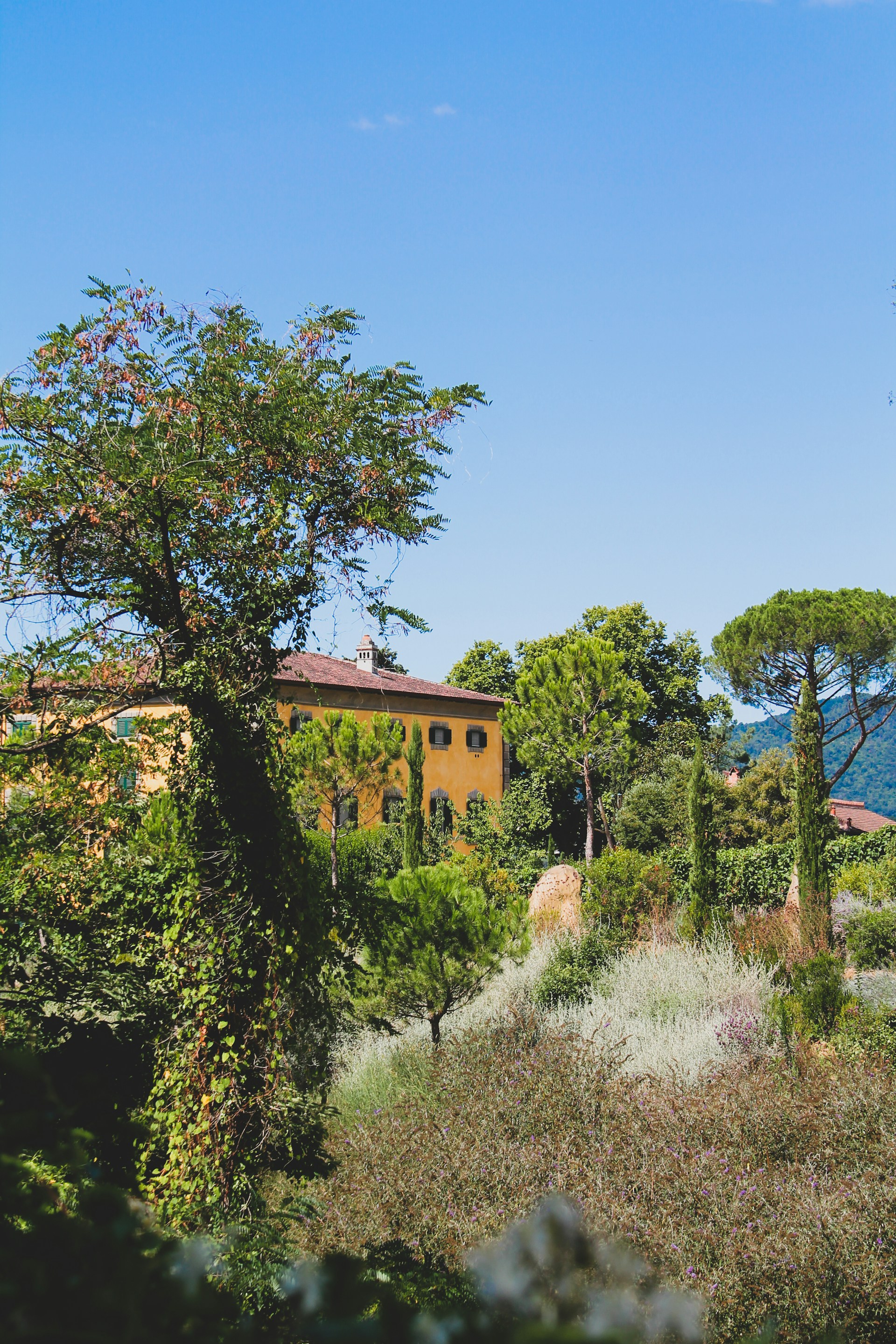 A picturesque landscape featuring a yellow villa partially hidden by lush, green foliage and trees. The villa has a red-tiled roof and is surrounded by a variety of vegetation, including tall cypress trees and climbing ivy. In the background, green hills are visible under a clear blue sky, enhancing the feeling of a peaceful countryside setting.