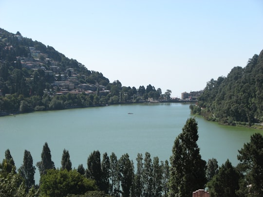 green trees near body of water during daytime in Nainital India
