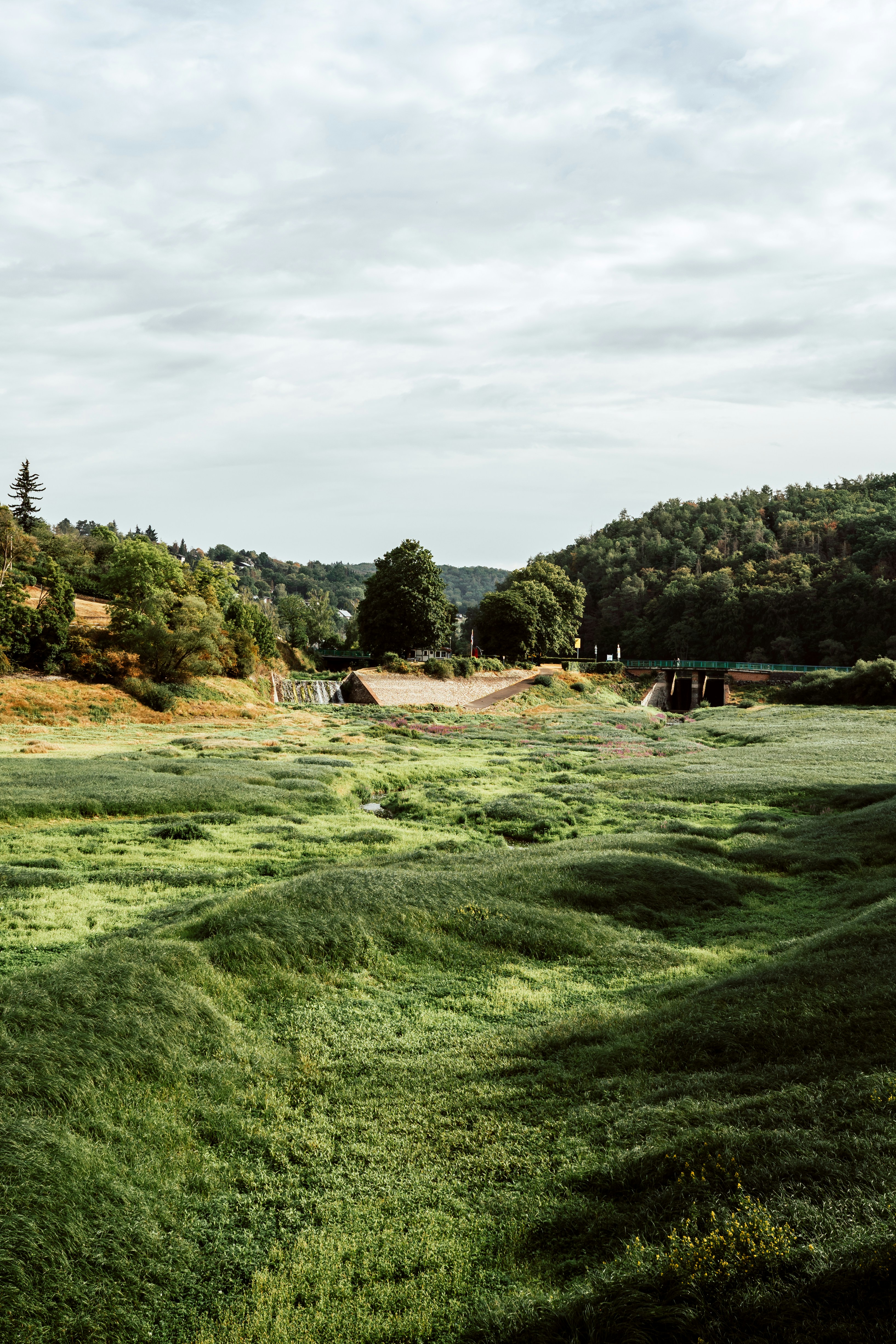 green grass field near green trees under white clouds during daytime