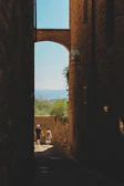 Wide shot of Maria and Giuseppe walking hand in hand through a sun-dappled olive grove.