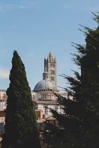 white concrete building under blue sky during daytime
