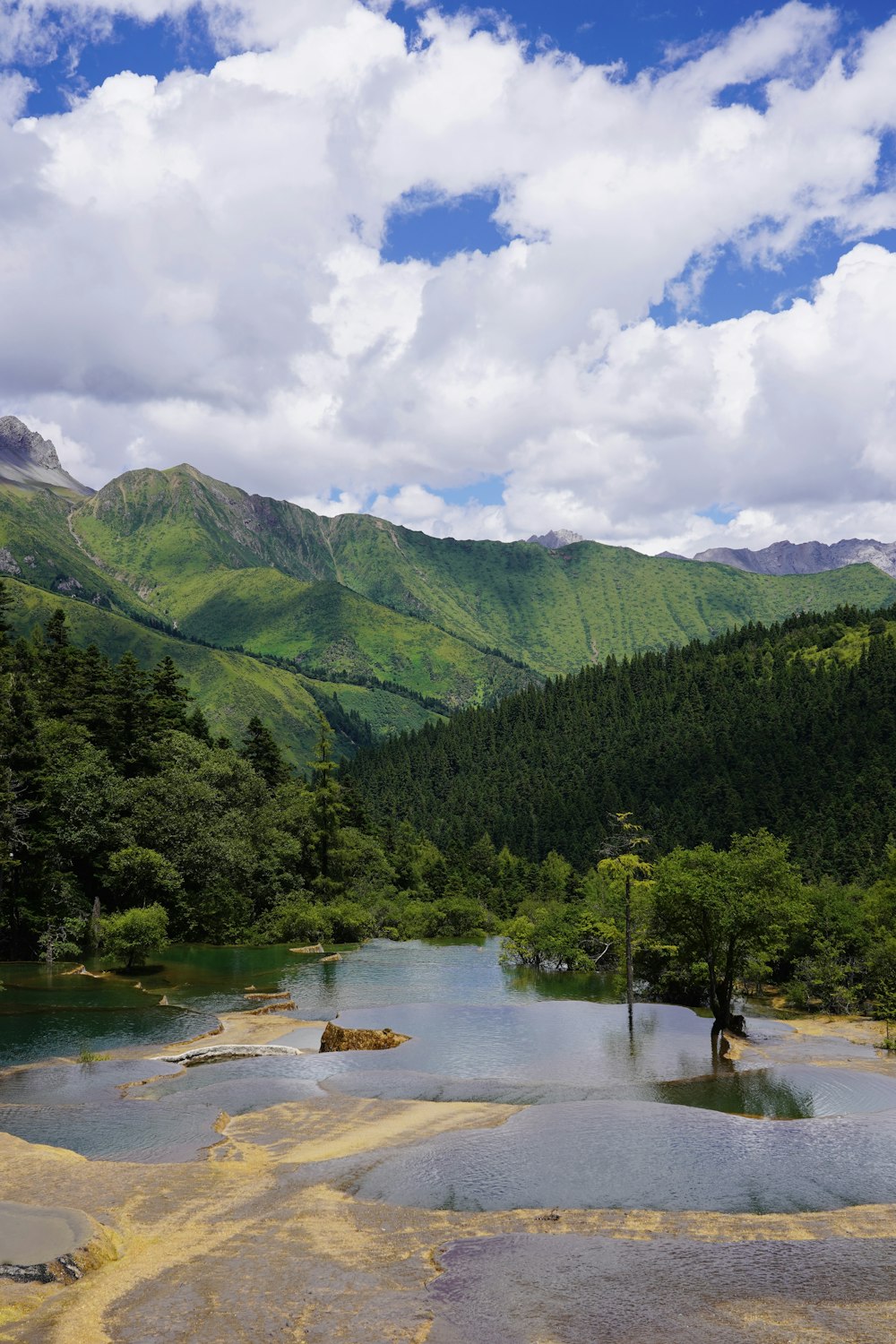 green trees near lake under white clouds and blue sky during daytime