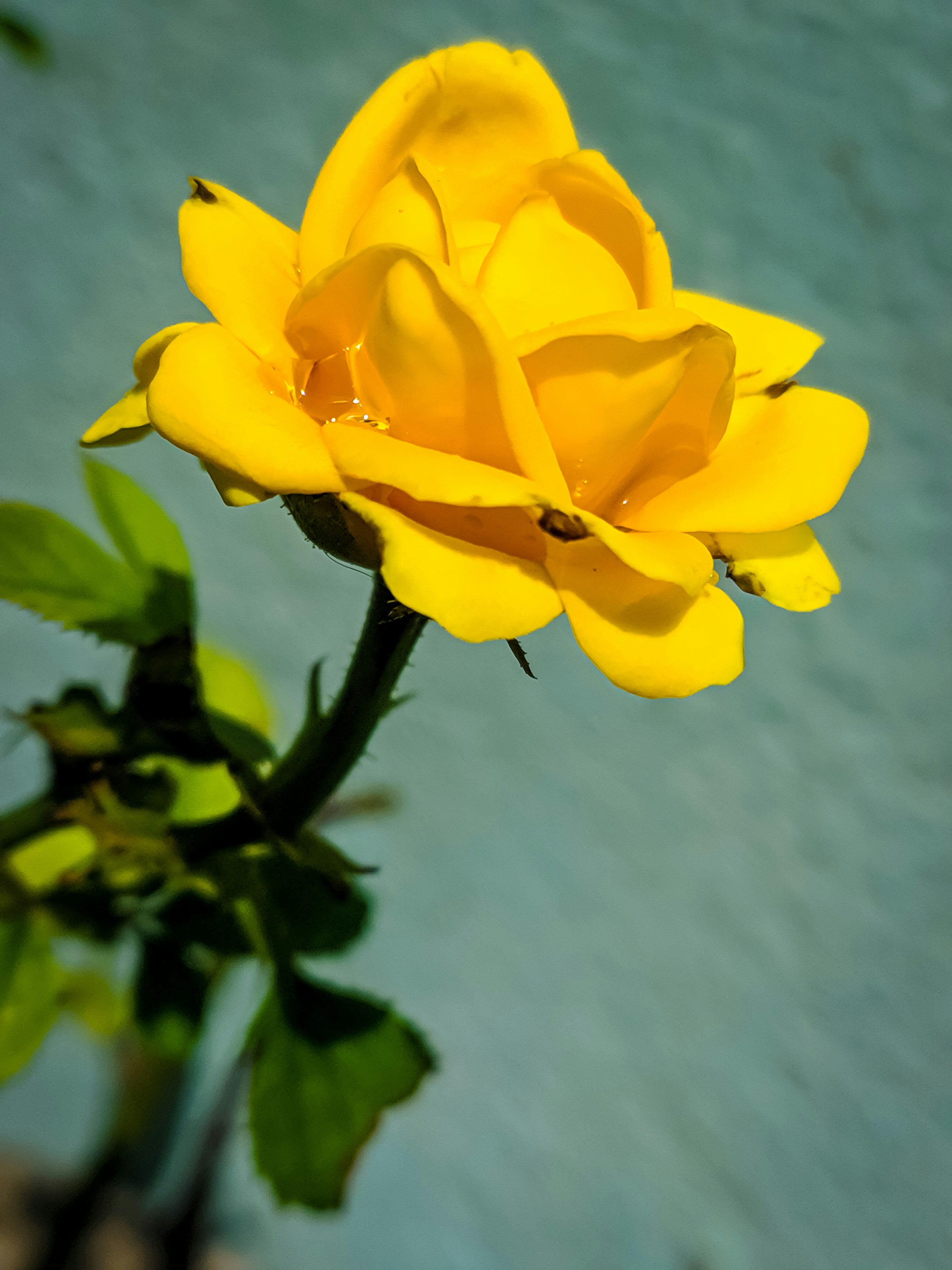 Photo by photographybyaayu