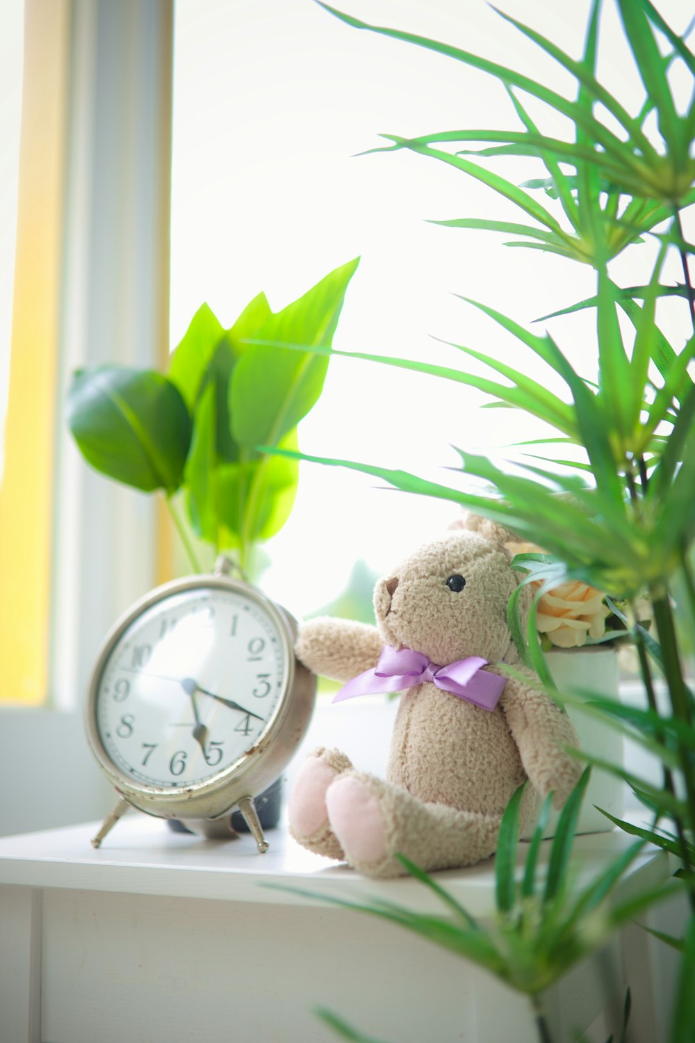 brinquedo de pelúcia do urso marrom ao lado da planta verde