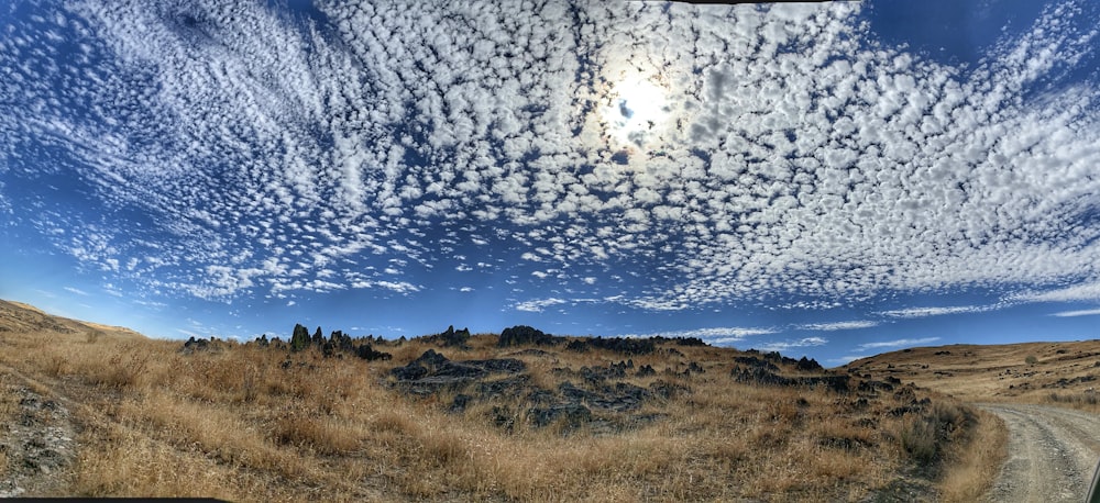 brown grass field under blue sky and white clouds during daytime