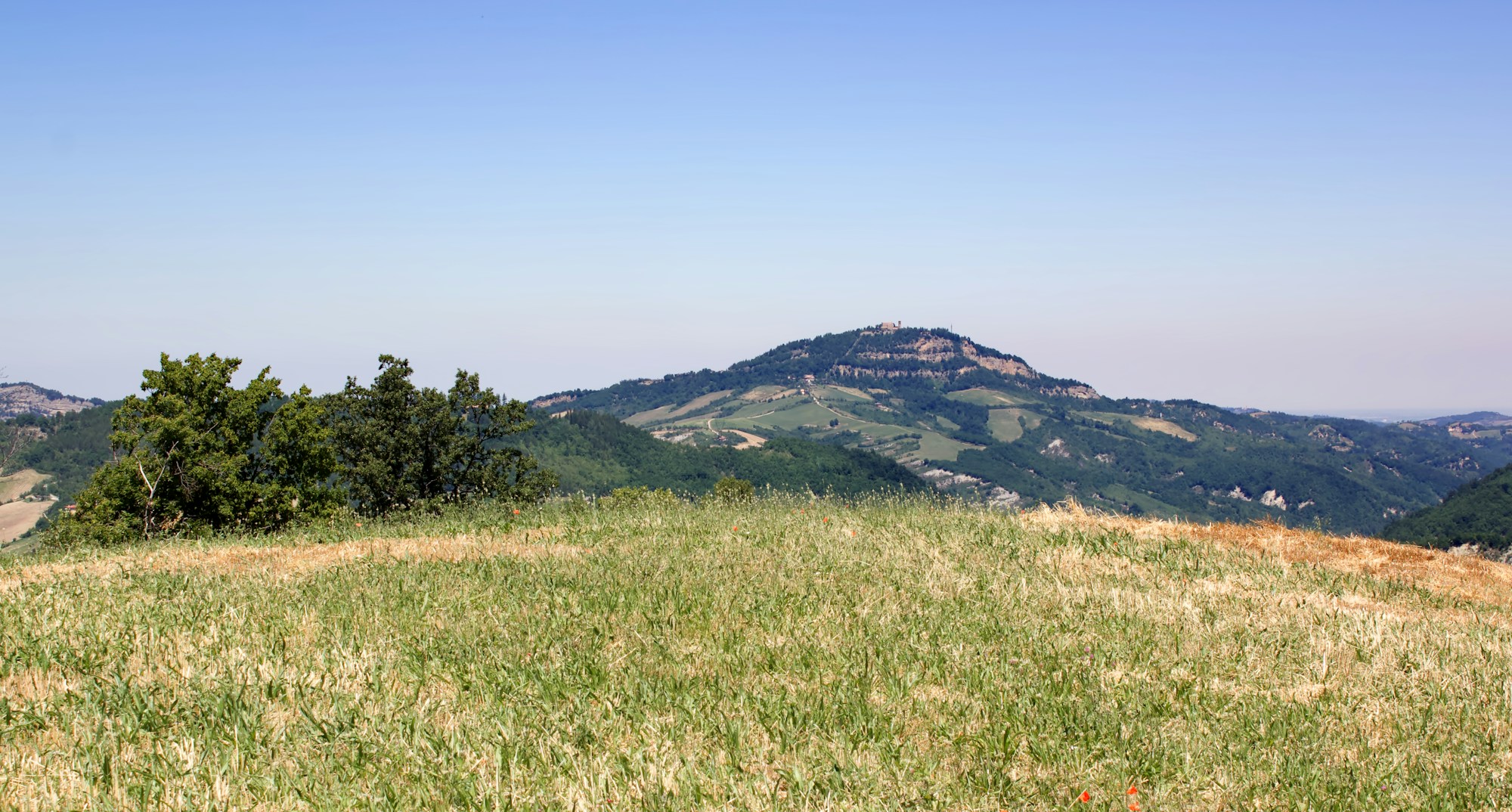 Campi Bisenzio: A Cultural Journey Through Traditions and Festivals