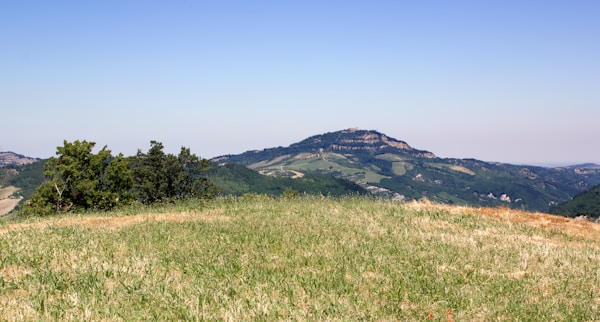 Campi Bisenzio: A Cultural Journey Through Traditions and Festivals