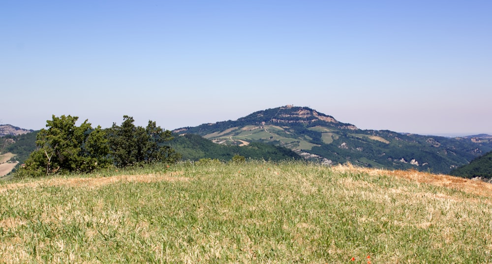 green grass field near mountain under blue sky during daytime