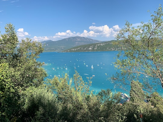 green trees near blue body of water under blue sky during daytime in Alpes-de-Haute-Provence France