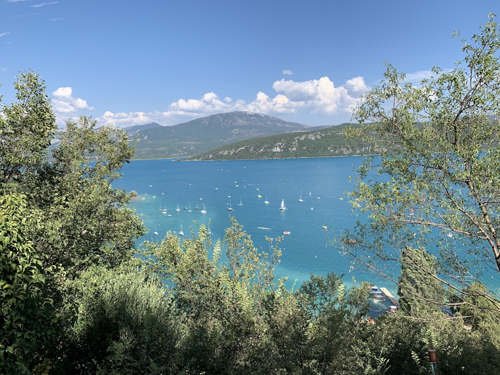 green trees near blue body of water under blue sky during daytime