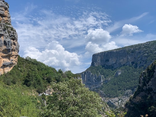 green trees on mountain under blue sky during daytime in Alpes-de-Haute-Provence France