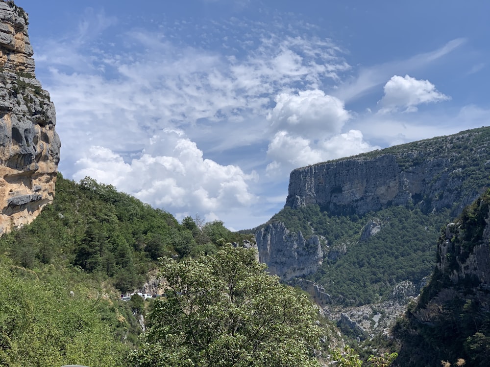 green trees on mountain under blue sky during daytime