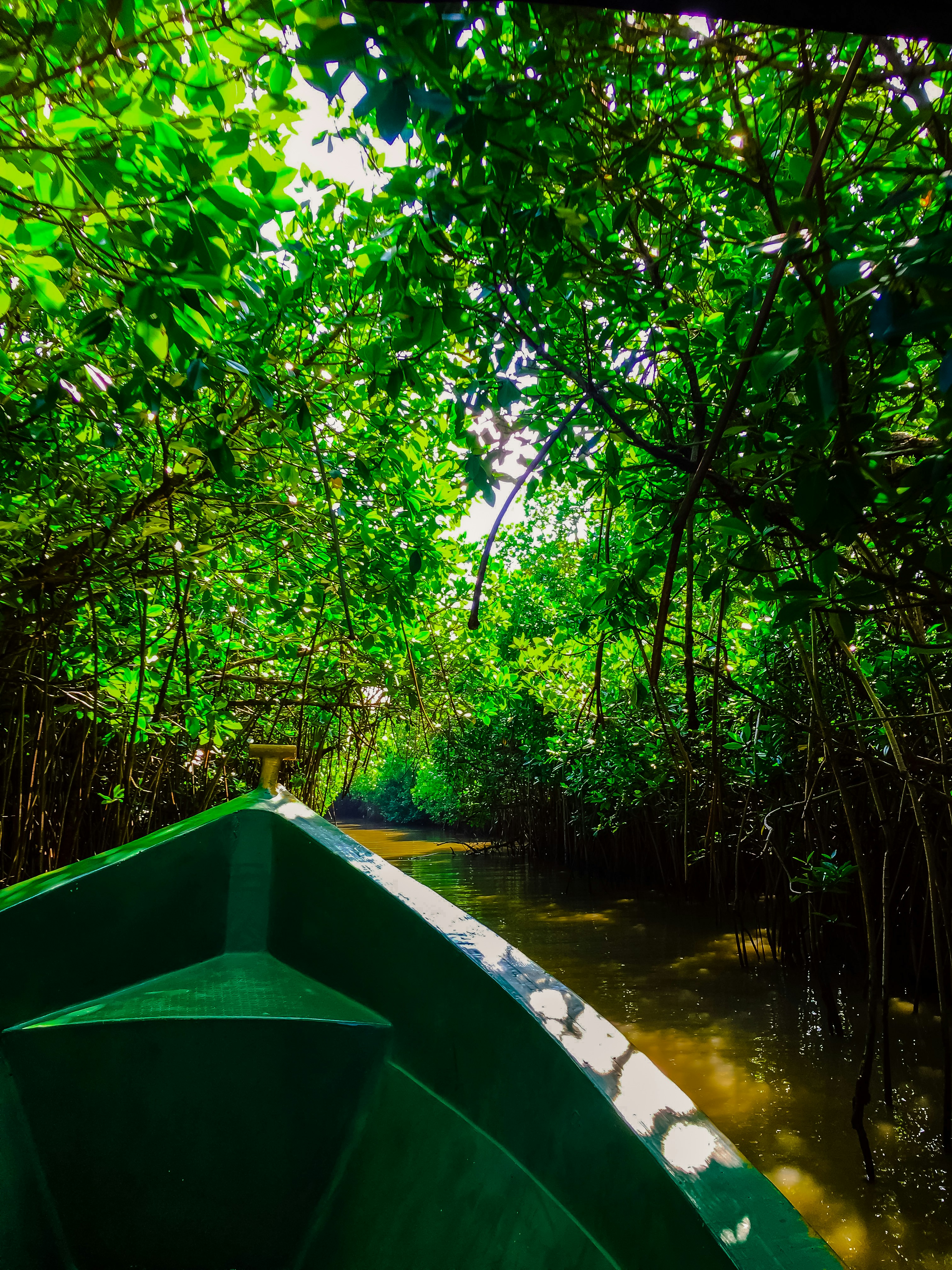 Sundarbans Eco Adventure