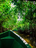 A traditional wooden boat gliding through dense mangrove waterways under soft morning light