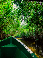 A panoramic view of the Sundarbans mangrove forest with a boat gliding through calm waters.