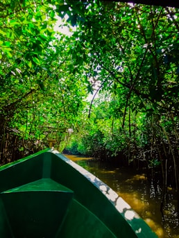 A small boat gliding through calm Everglades waters surrounded by mangroves and birds.
