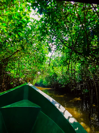 A vibrant mangrove forest with sunlight filtering through dense green leaves and a small boat navigating the narrow waterways.