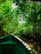 A tranquil boat gliding through the mangroves of Los Haitises National Park at sunset.