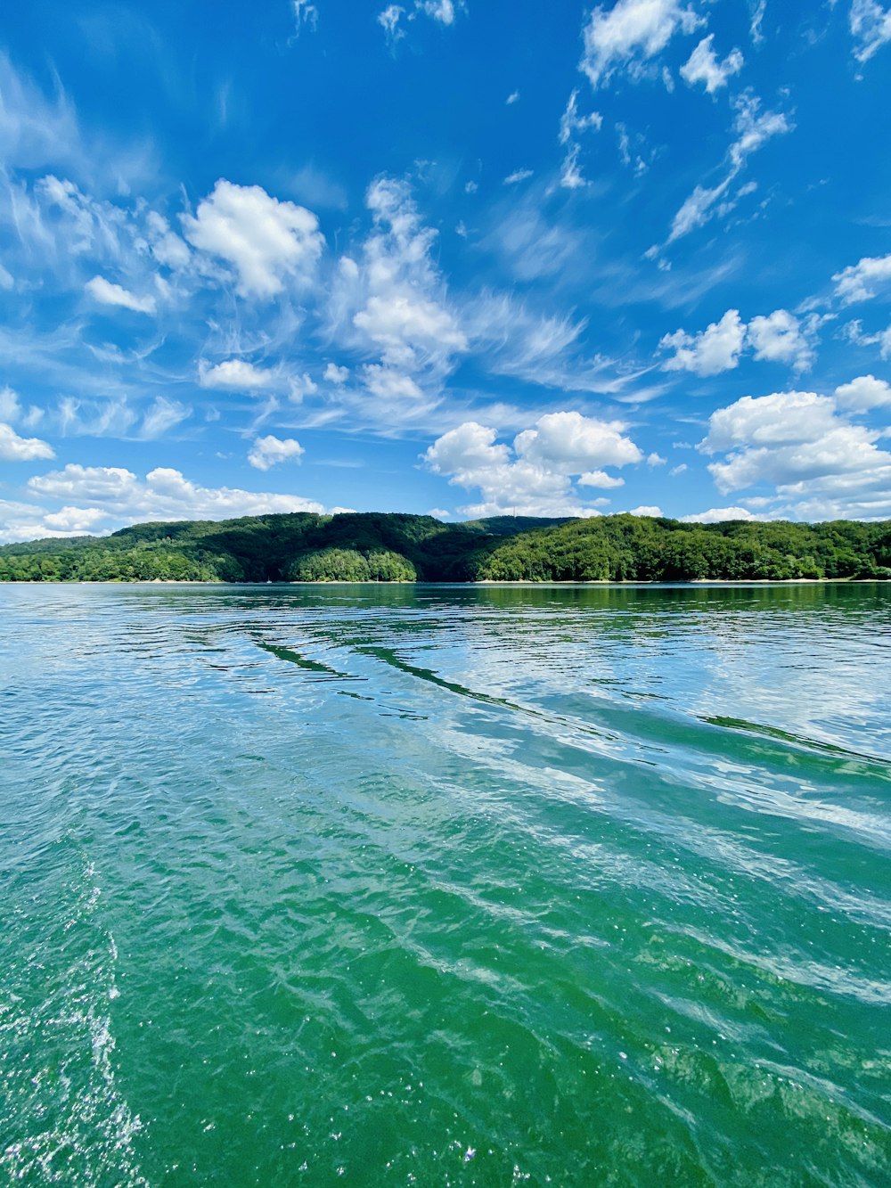 green trees beside body of water under blue sky during daytime