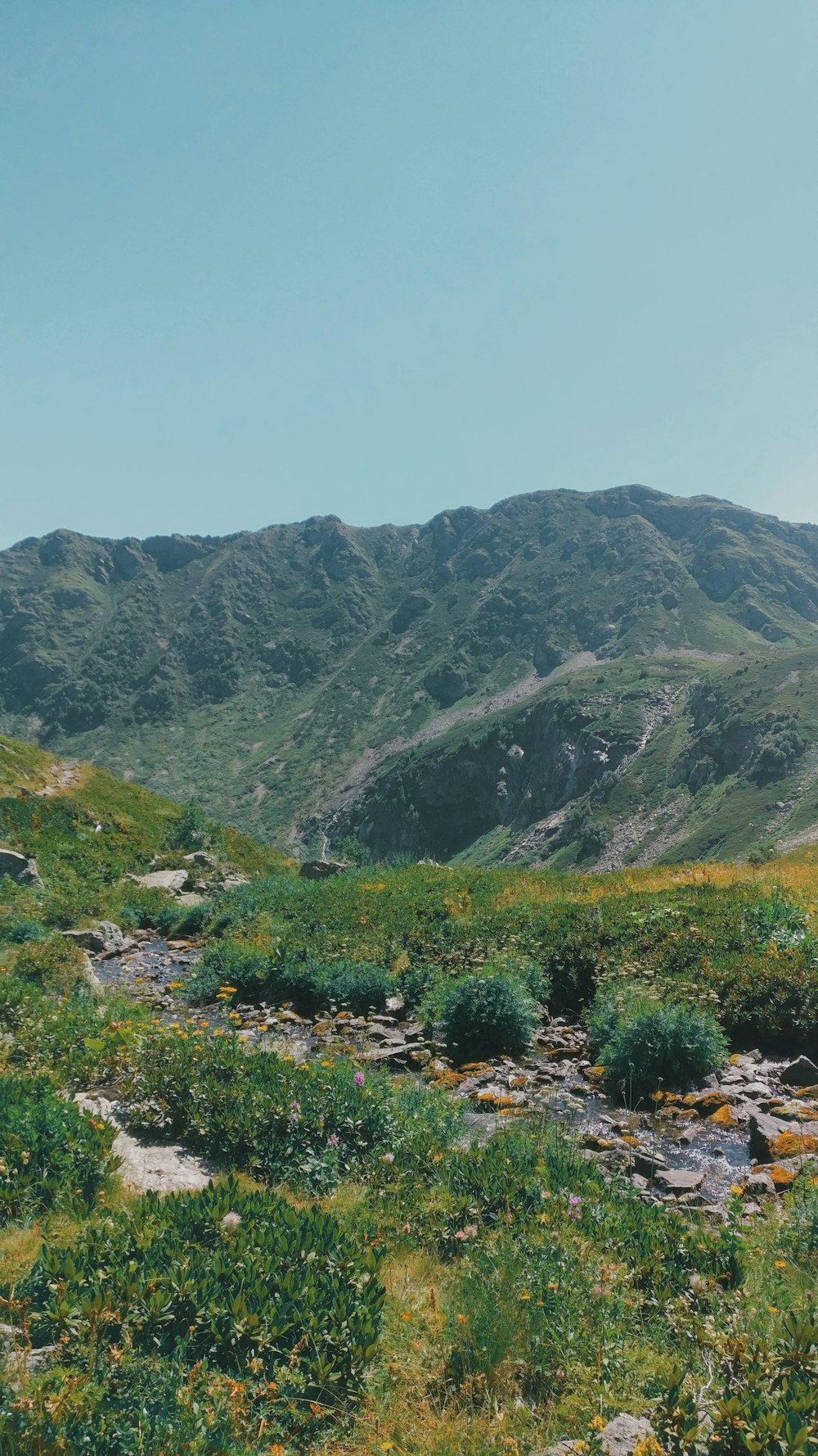 green grass field and mountains during daytime