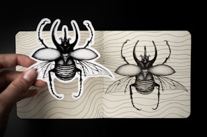 Hand-drawn illustrations of various local insect species on paper.