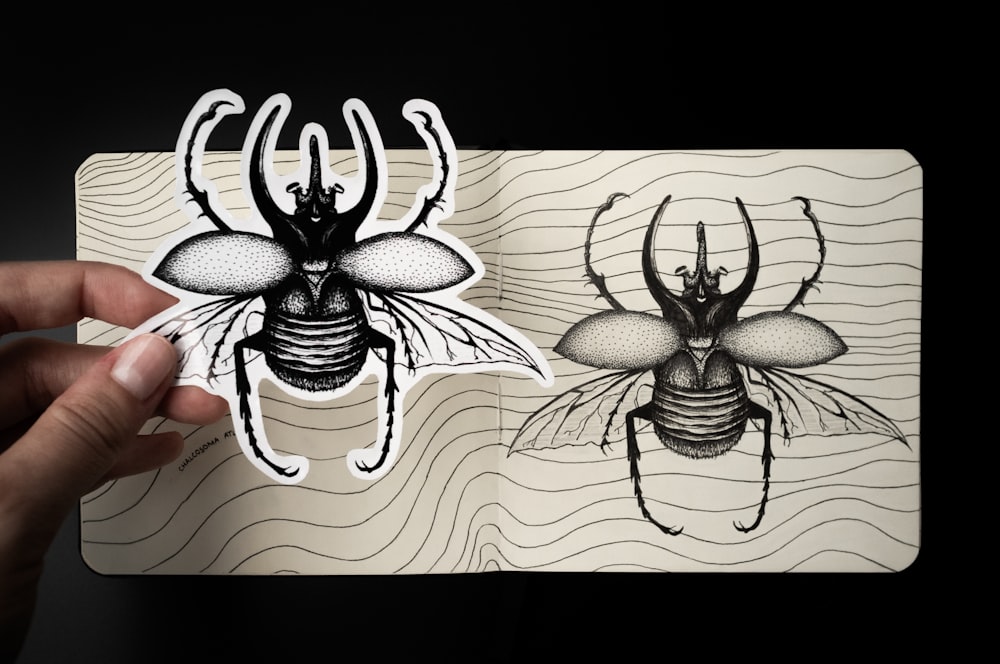 illustrazione del ragno in bianco e nero