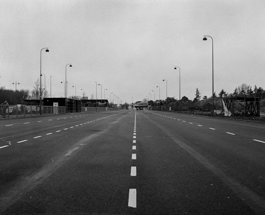 grayscale photo of road with cars in Gedser Denmark