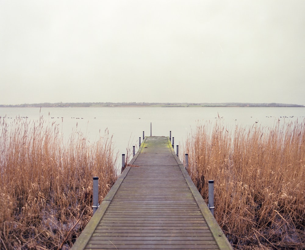 brown wooden dock on body of water during daytime