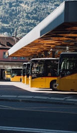 yellow bus on the road during daytime