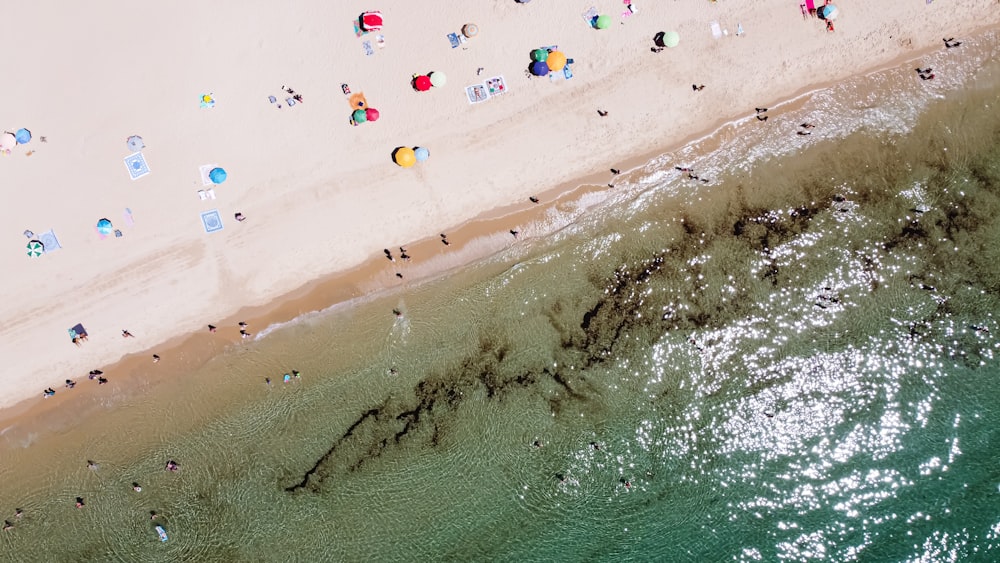 personnes sur la plage pendant la journée