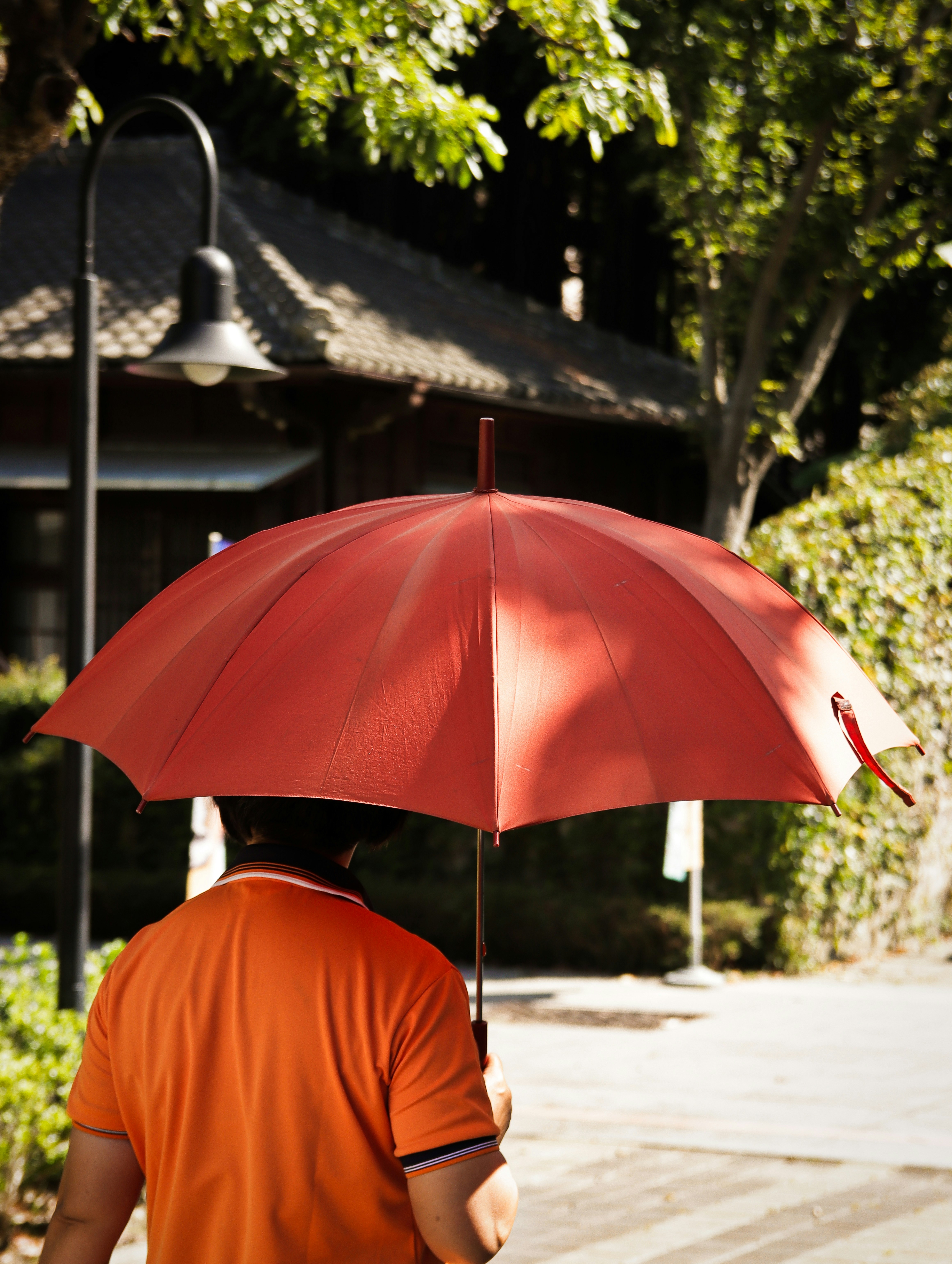 Foto persona con capucha bajo rojo – Imagen Marrón en