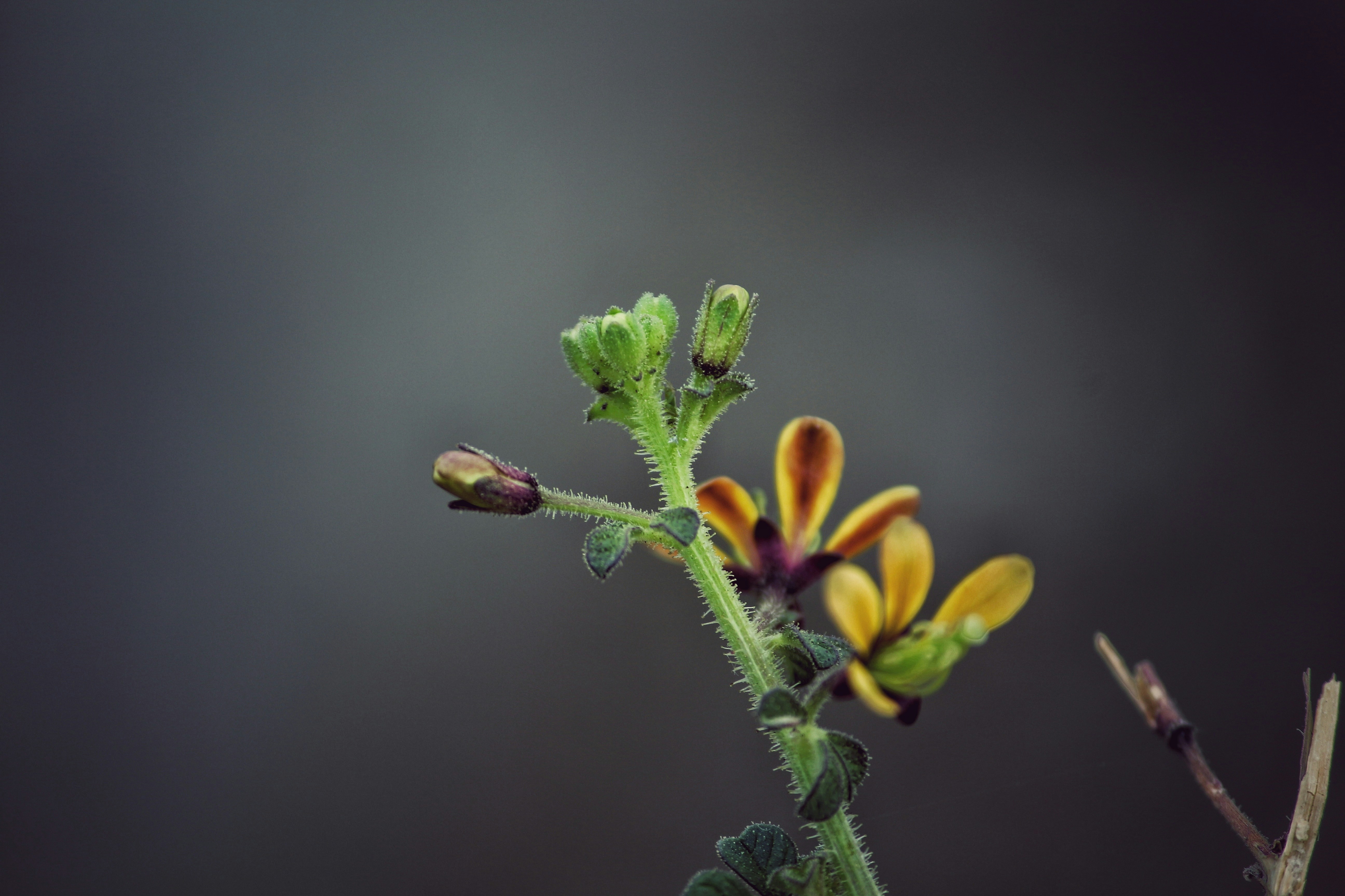 Photo by praveenraj137