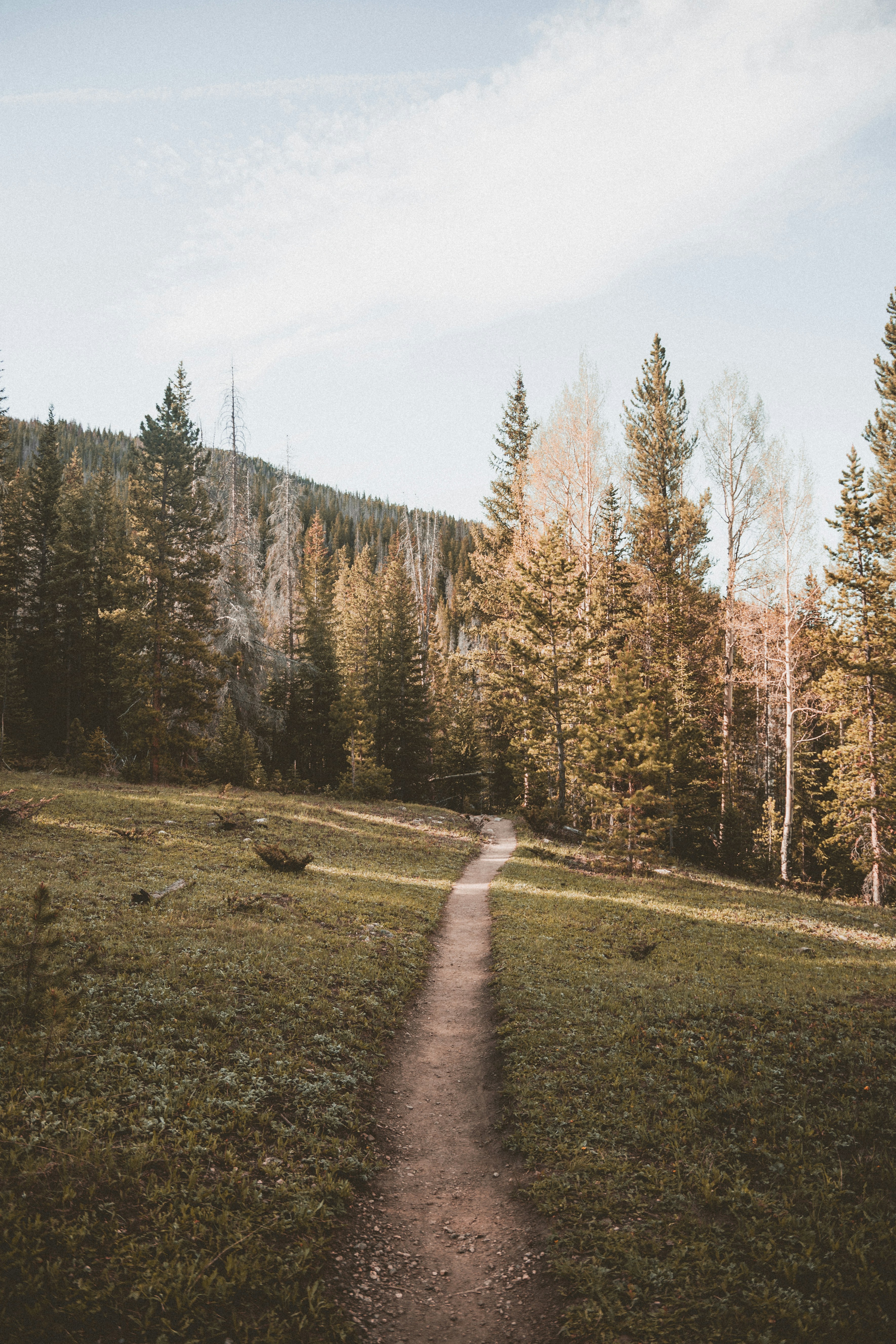 Photo by kennysexton