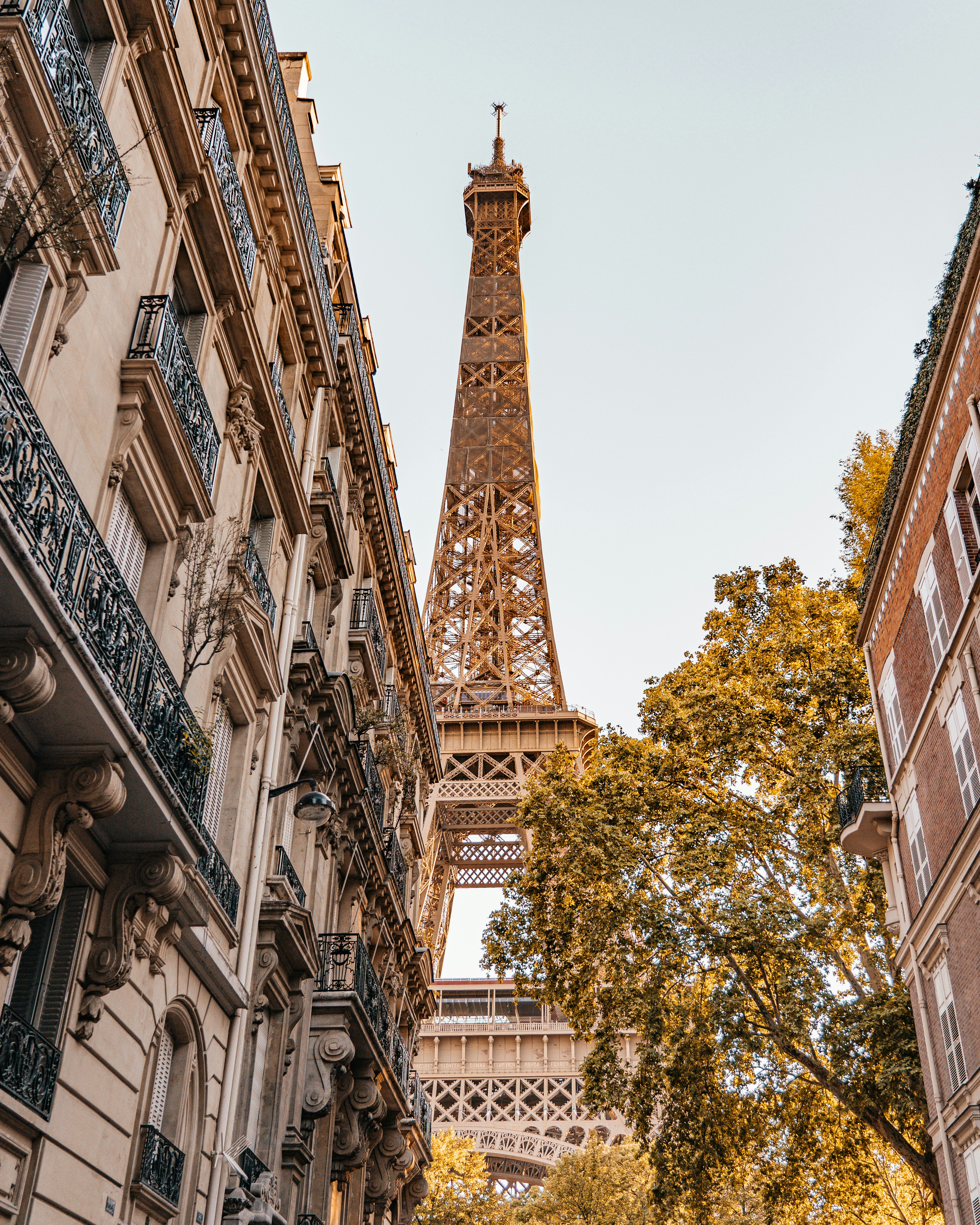 Photo by dariomuellerf