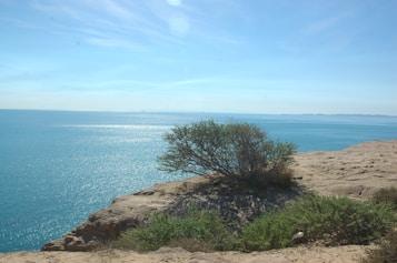 A tranquil seaside view with a rocky cliff in the foreground and sparse greenery, including a bush, growing along the edge. The vast expanse of the calm, shimmering blue sea stretches out towards the horizon under a clear, slightly clouded sky.