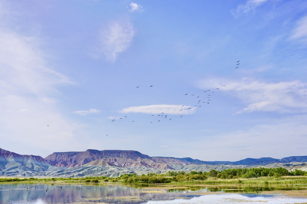 green trees and mountains under blue sky during daytime