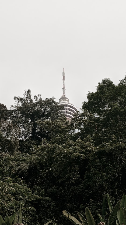 green trees under white sky during daytime in Bukit Nanas Malaysia