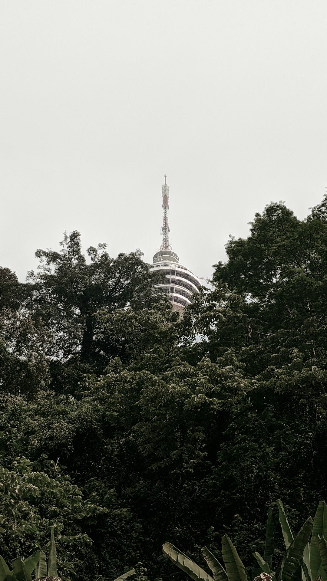 Landmark photo spot Bukit Nanas Kuala Lumpur