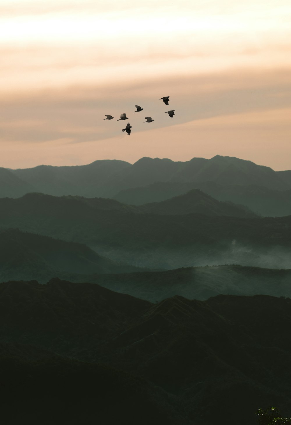 birds flying over the mountains during daytime